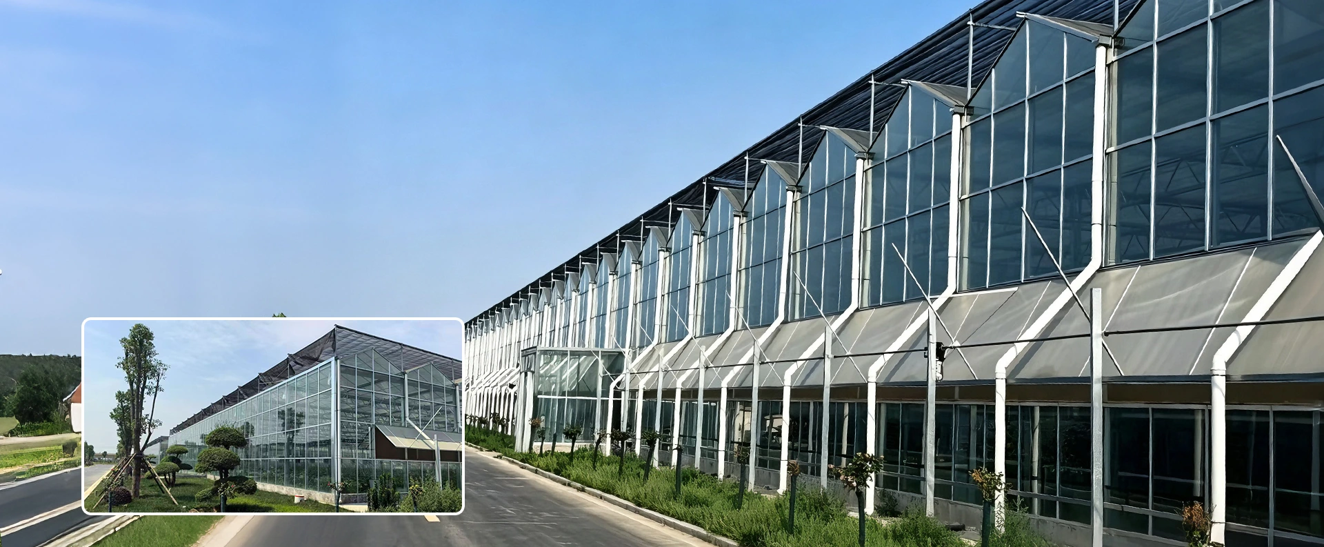 Kina Multi-Span Drivhuse Factory