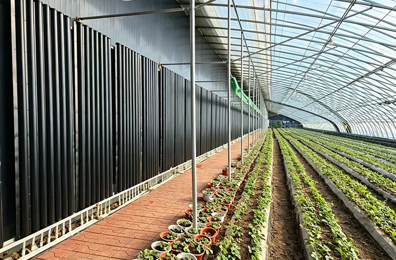 Hvordan kan landmænd vælge de rigtige soldrivhuse til effektiv afgrødeproduktion året rundt?