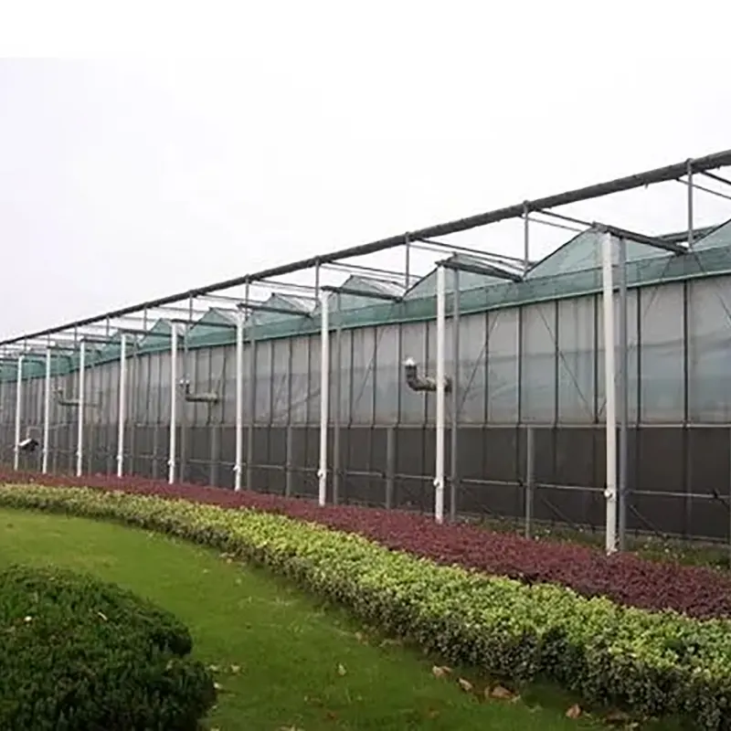 Dobbelt-Slope Venlo-Type Multi-Span Drivhus