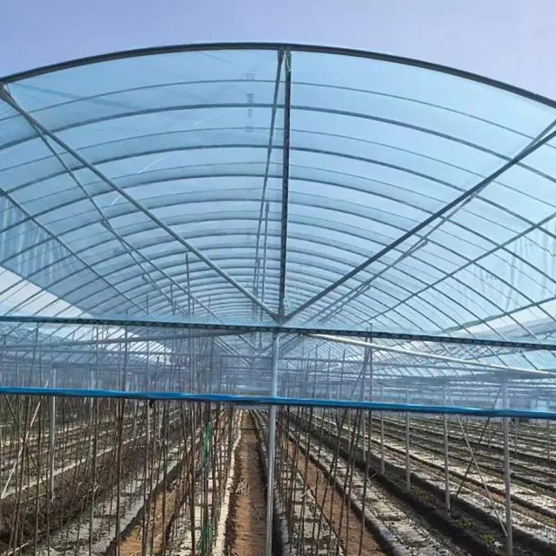 Small-Span Round-Arch Multi-Span Greenhouse