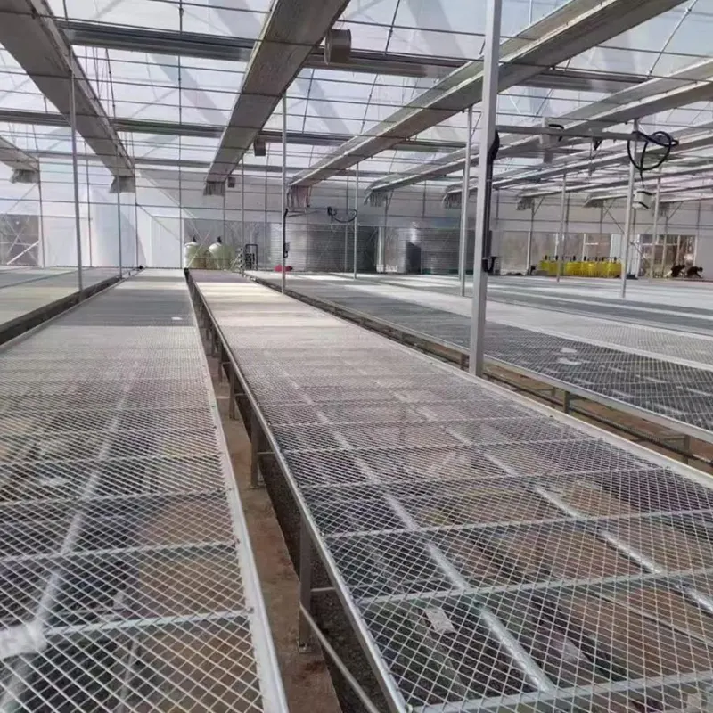 Sawtooth-Type Multi-Span Greenhouse With Skylight