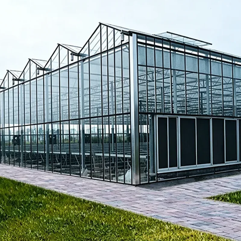 Low-E Glas Multi-Span Drivhus