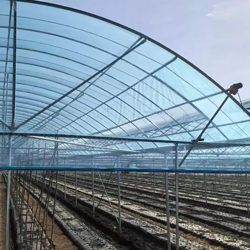Round-Arch Simple Multi-Span Drivhus