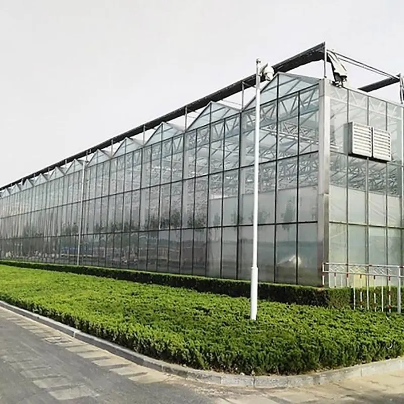 Frøplante-dyrkende multi-span drivhus