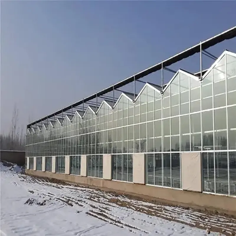 Enkelt-lags glas multi-span drivhus